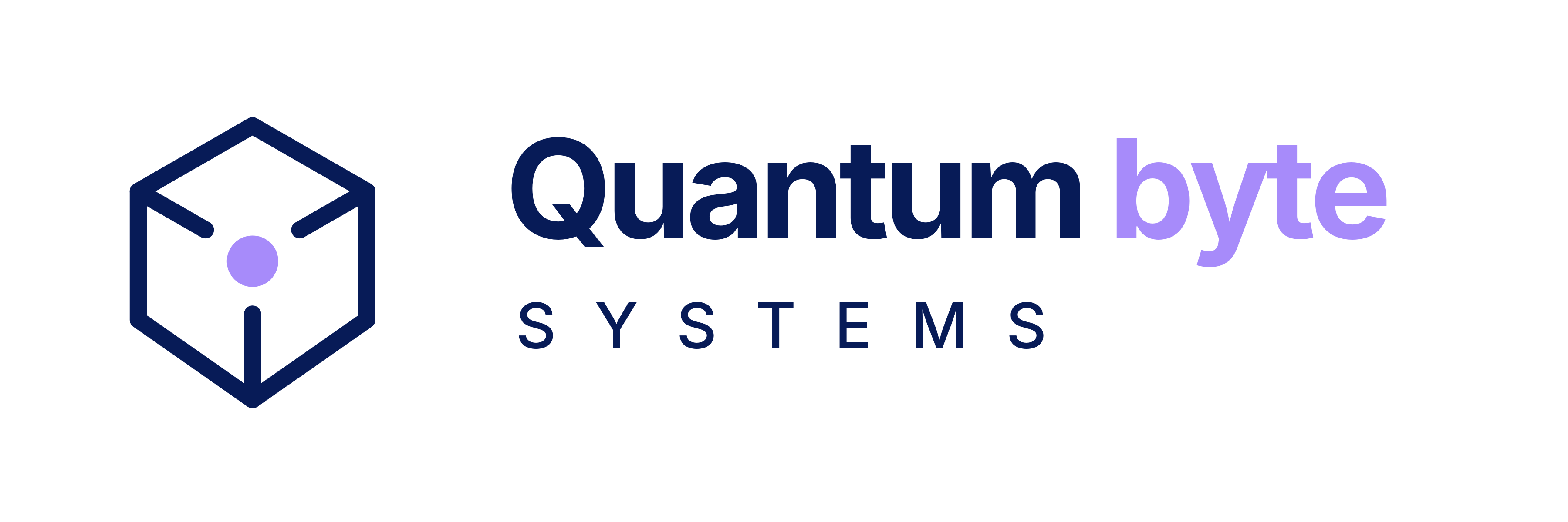 Quantumbyte Systems